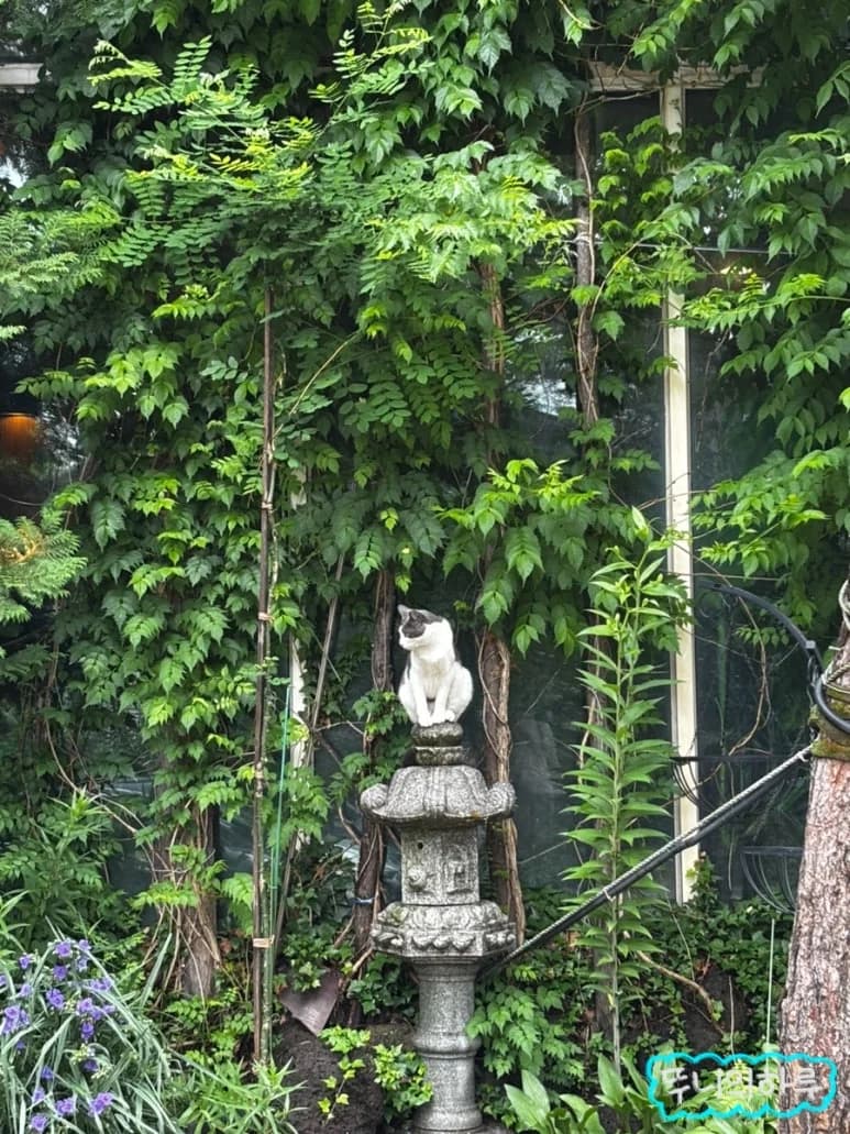 수락산편백원 - 사진: Kakao Place