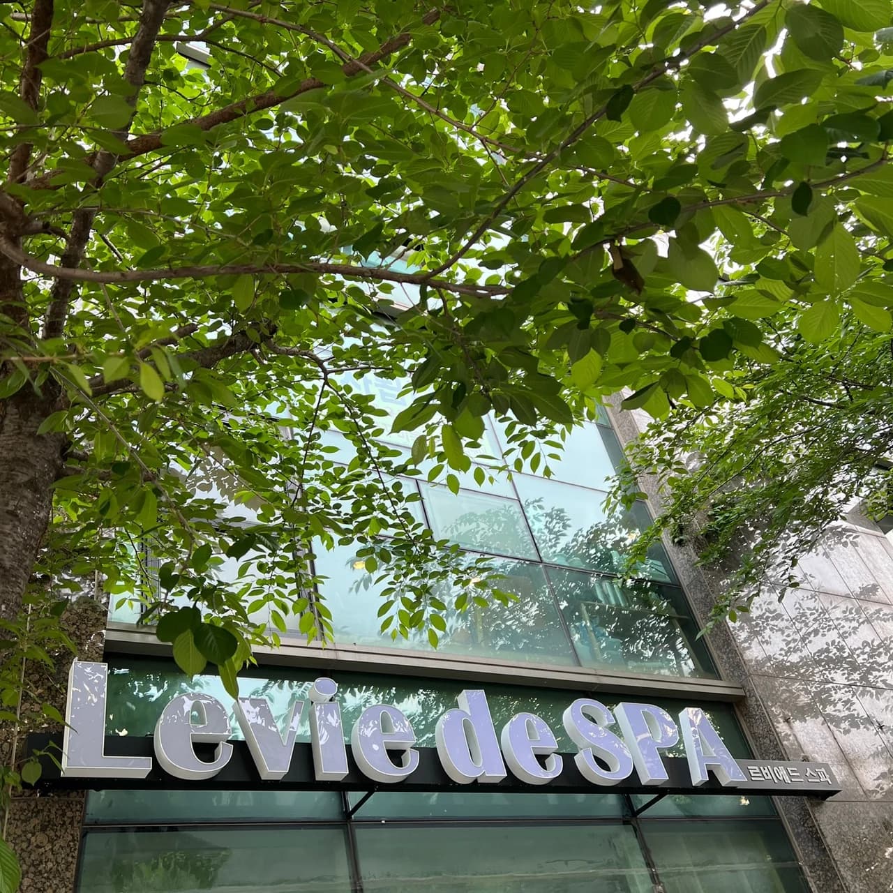 르비에드스파 — 写真: Kakao Place