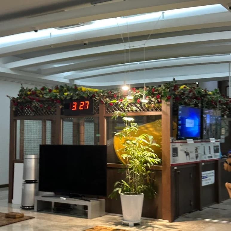 하이렉스파불한증막사우나 — 写真: Kakao Place