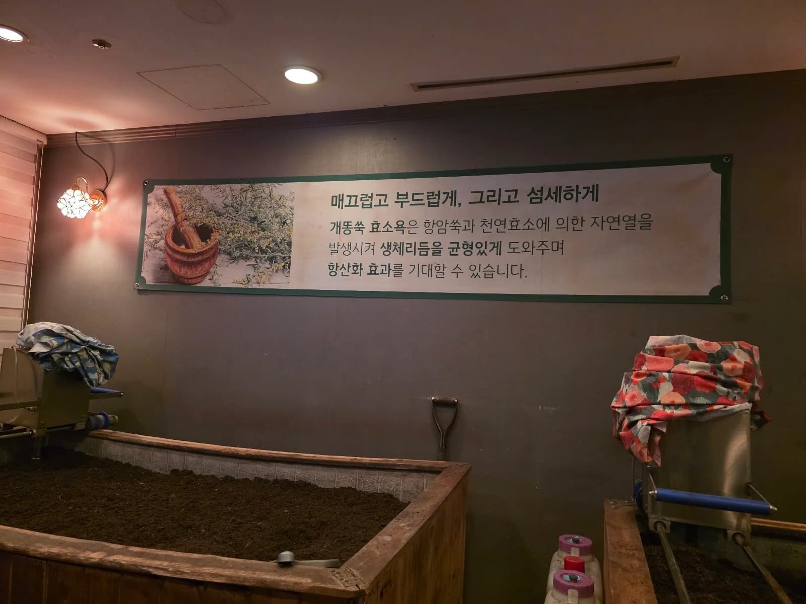 효소가와 — 写真: 백종환