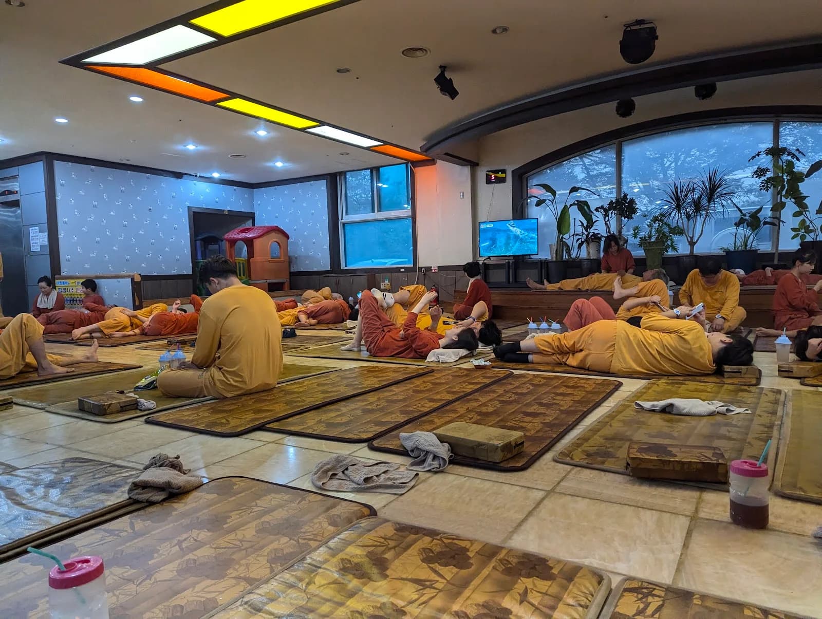 숲속랜드 — 图源: cc c
